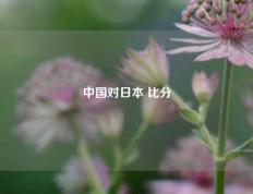 中国对日本 比分