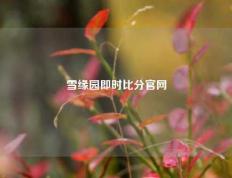 雪缘园即时比分官网