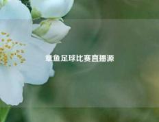 章鱼足球比赛直播源