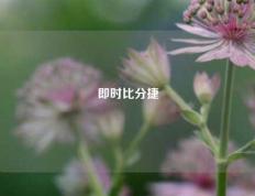 即时比分捷