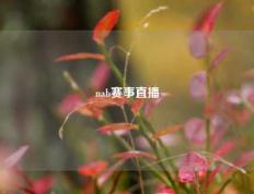 nab赛事直播
