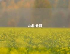 win比分网