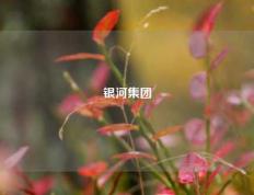 银河集团
