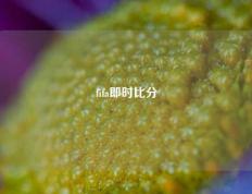fifa即时比分