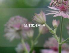 足球比分网vs90