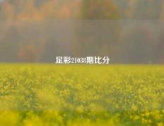 足彩21038期比分