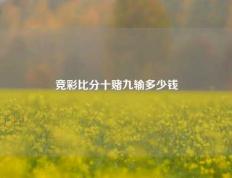 竞彩比分十赌九输多少钱