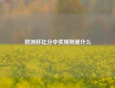 欧洲杯比分中奖规则是什么