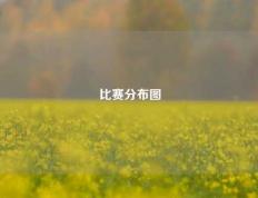 比赛分布图