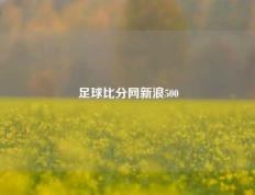 足球比分网新浪500