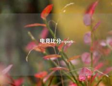 电竞比分esport