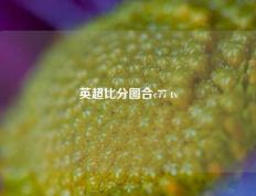 英超比分图合c77 tv