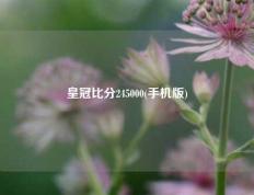 皇冠比分245000(手机版)