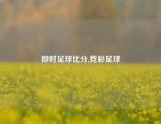 即时足球比分,竞彩足球