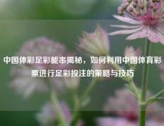 中国体彩足彩能串揭秘，如何利用中国体育彩票进行足彩投注的策略与技巧