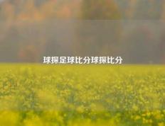 球探足球比分球探比分