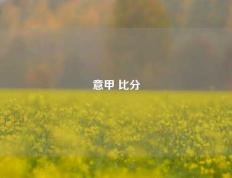 意甲 比分