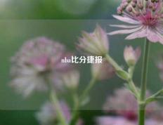 nba比分捷报