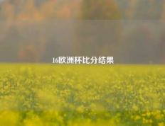 16欧洲杯比分结果