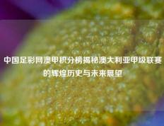中国足彩网澳甲积分榜揭秘澳大利亚甲级联赛的辉煌历史与未来展望