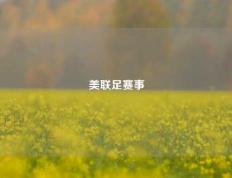 美联足赛事