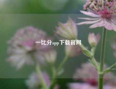 一比分app下载官网