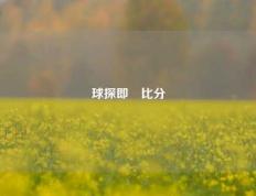 球探即吋比分