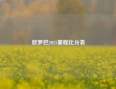 欧罗巴2021赛程比分表