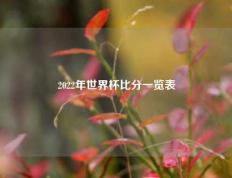 2022年世界杯比分一览表