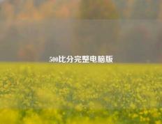 500比分完整电脑版