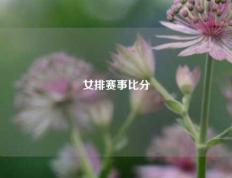 女排赛事比分