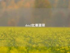 dota2比赛菠菜