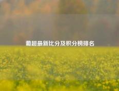 葡超最新比分及积分榜排名