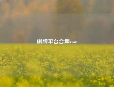 棋牌平台合集rom