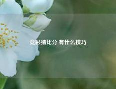 竞彩猜比分,有什么技巧