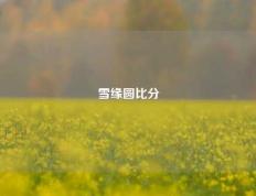 雪缘圆比分