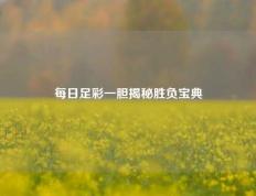 每日足彩一胆揭秘胜负宝典