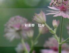 彩客即吋比分