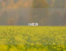 258比分