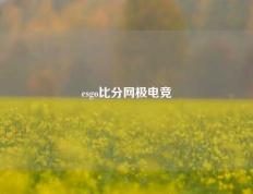 csgo比分网极电竞