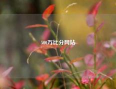 500万比分网站