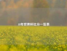 18年世界杯比分一览表