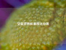 女篮世界杯赛程比分表