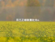 芬兰乙组联赛比分ds