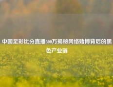 中国足彩比分直播500万揭秘网络赌博背后的黑色产业链