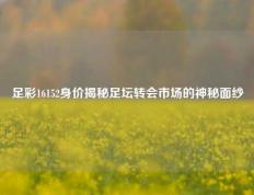 足彩16152身价揭秘足坛转会市场的神秘面纱