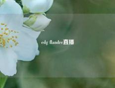 edg flandre直播