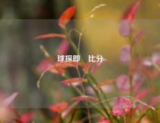 球探即吋比分