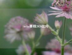 wcba赛程2020比分