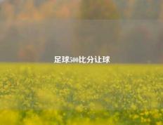 足球500比分让球